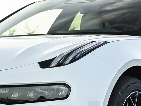 2026��   95������ Max��