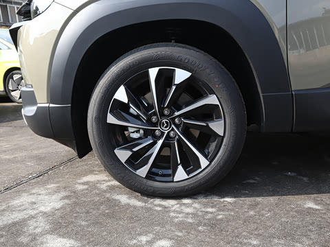 2026�� 2.5L ���а�