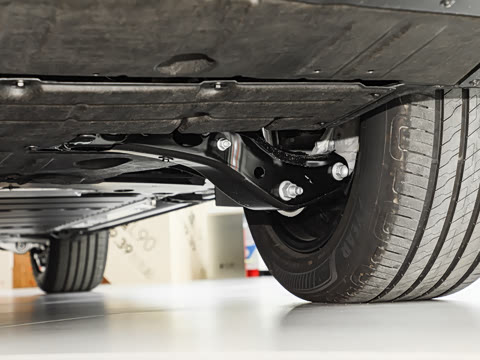 2025�� Max ������