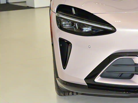 2025�� ������������Pro��