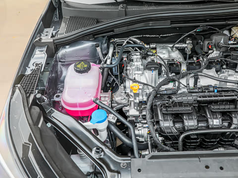 2026�� 1.5L �ֶ�������