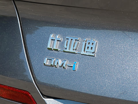 2026�� DM-i 170�캽Pro��