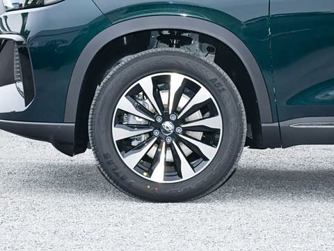 2025�� 290TGDI DCT���ư�