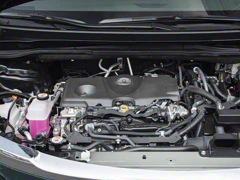 2026�� ������