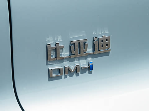 2026�� �ɳ۰� DM-i 220KM������