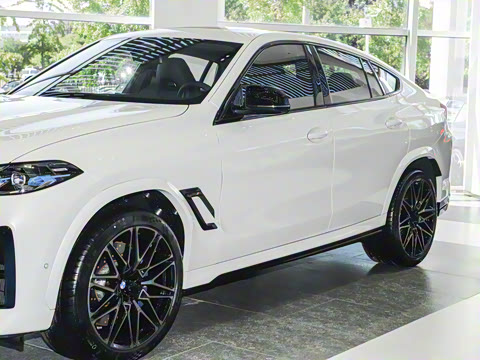 2024�� X6 M ������