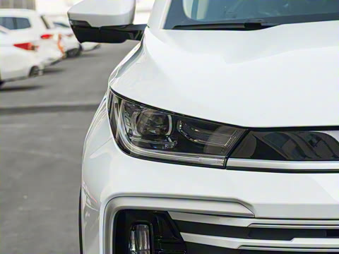 2025�� 300T ������ҹ��