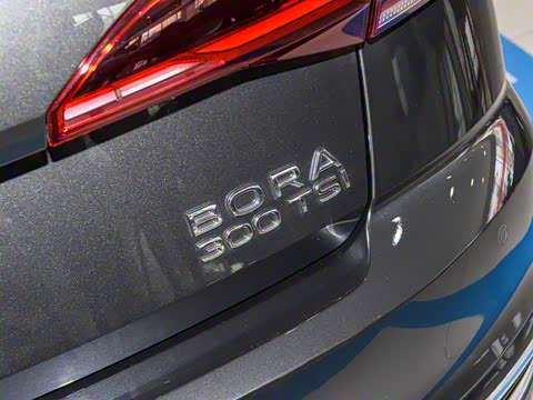 2025�� �Ŀ� 300TSI DSG���а�