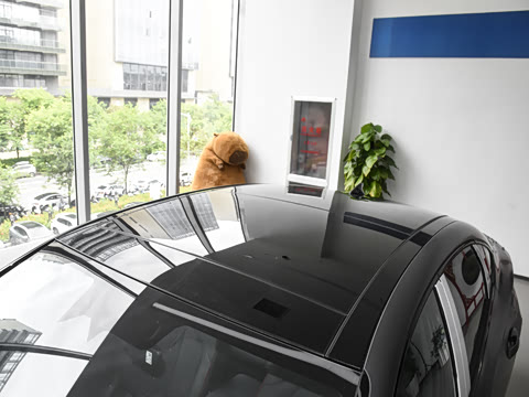 2026�� 2.0T N Line Pro