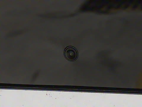 2025�� 550������