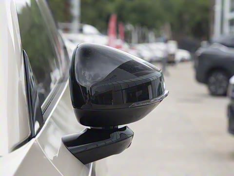 2026�� ������������Plus