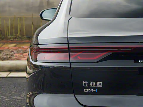 2025�� DM-i �Ǽݰ� 245KM������