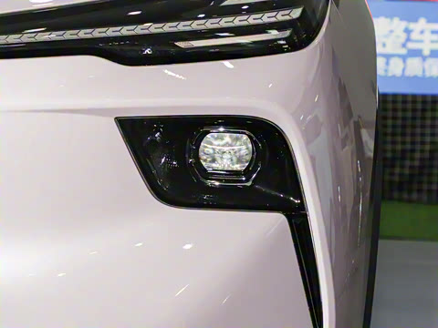 2025�� 565km ������