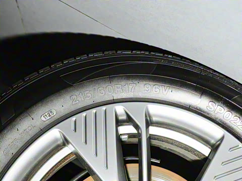 2025�� 565km ������