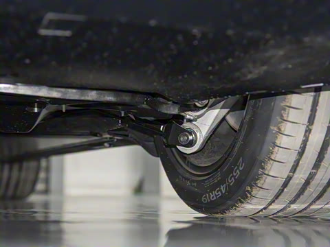 2026�� ����������������