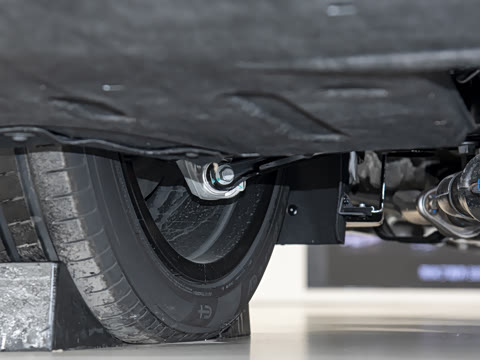 2025�� ���� Max��������