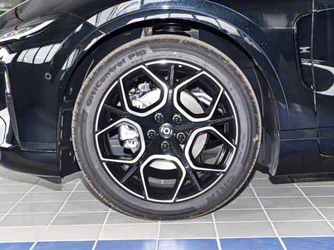 2026�� �����������̰� 310������