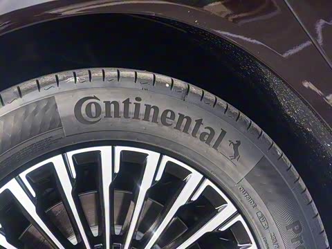 2025�� DM-i ��������