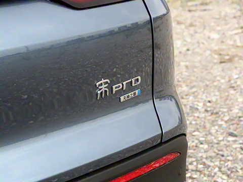 2026�� DM-i 133KM��Խ��