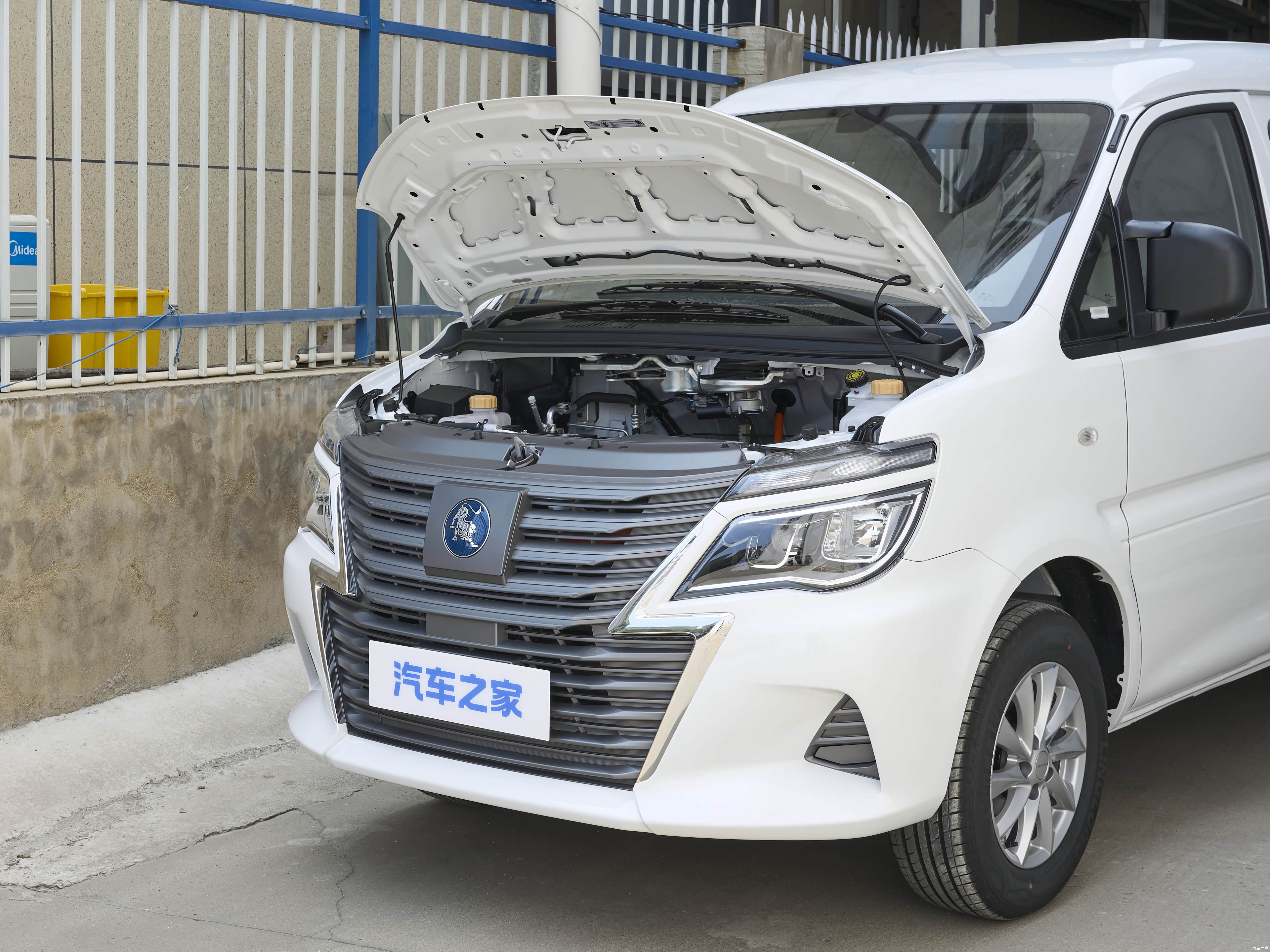 Forthing Lingzhi, миниатюра 29