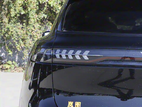 2025�� FREE+ �����˶����ư�