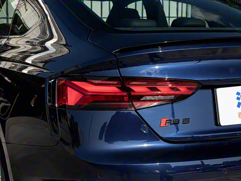 2024�� RS 5 2.9T Sportback ȼ���