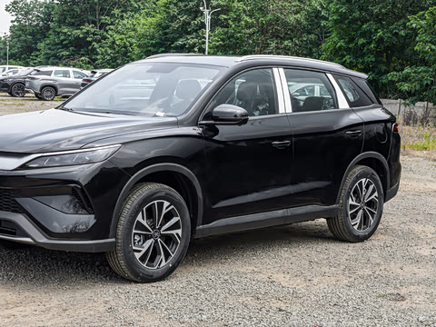 2026�� DM-i 133KM��ȡ��