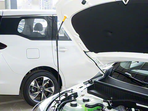 2026�� Ӱ�� 270T ��ȡ��