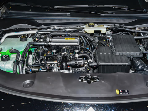 2025�� ������