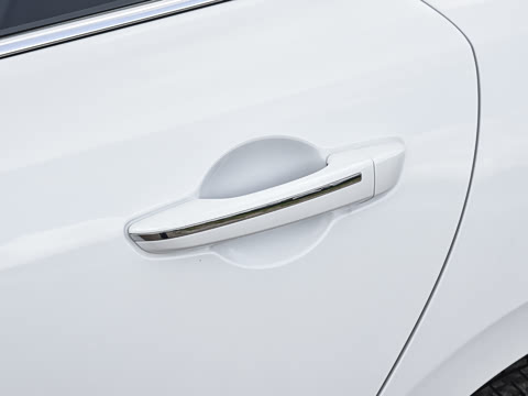 2026�� 1.5L �������� ������