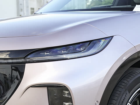 2025�� ����Ǭ����