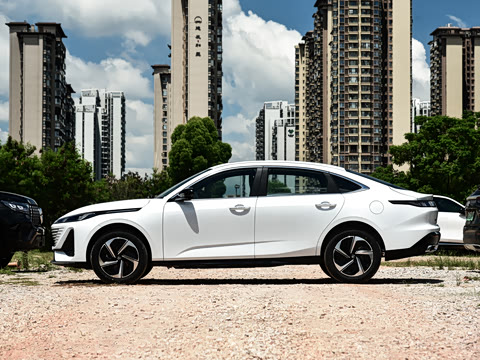2026�� 1.5L �������� ������