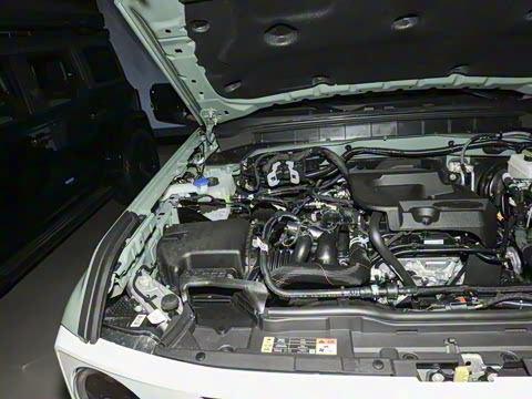 2025�� 2.3T 1966��Ű�