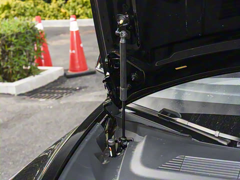 2025�� �Ŀ� ����������������