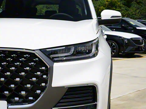 2025�� 290TGDI DCT����� 