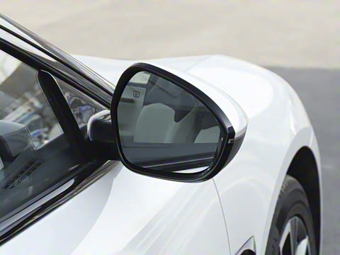 2025�� Elite�����