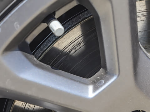 2025�� ̽Ұ�� 5��