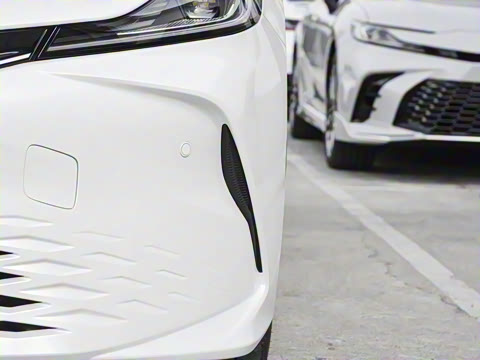 2026�� ˫�� 2.5HG ����