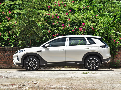 2026�� DM-i 305�Ǻ���