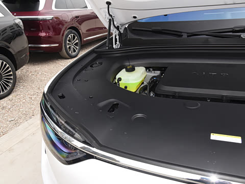 2026�� ���� Max�������� 5��