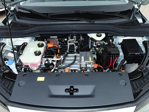 2025�� 565km ������