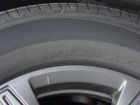 2025�� 520���а�