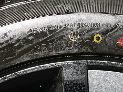 2025�� Ǭ�� Max 5��