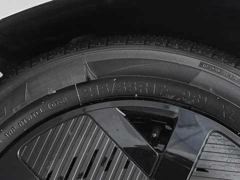 2026�� 501km ���а�