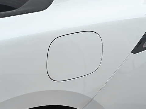 2026�� 501km ���а�