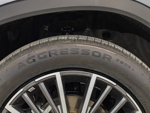 2026�� �ھ��� 290T ���������� 5��