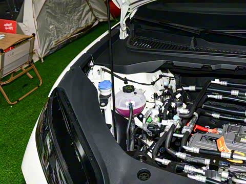 2025�� 520���г��а�