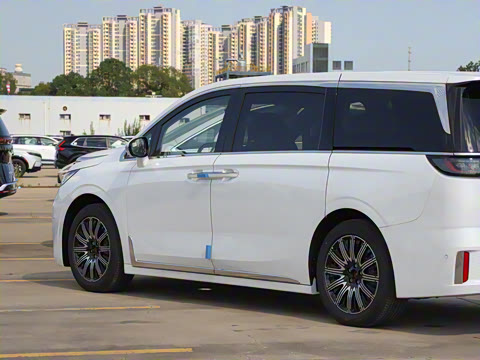 2025�� EV �������������