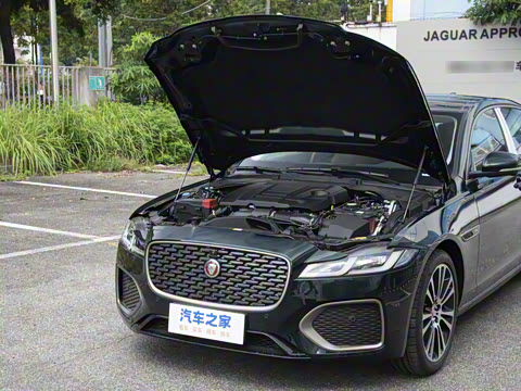 2025�� 2.0T P250 ��������������