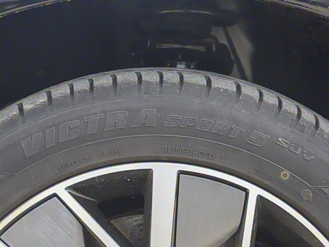 2025�� Ǭ�� Max 6��